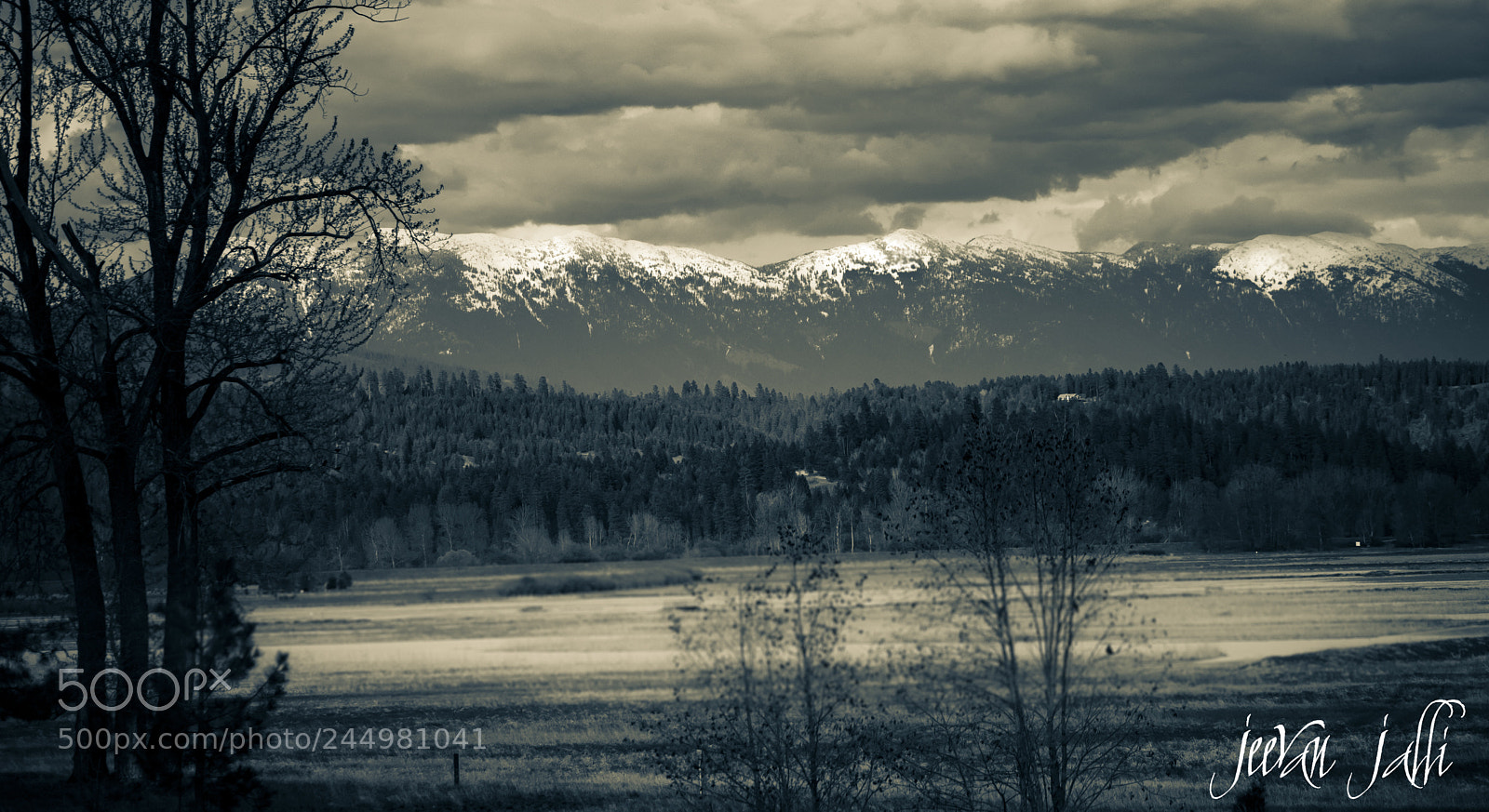 Nikon D3400 sample photo. Kootenai wild life refuge photography