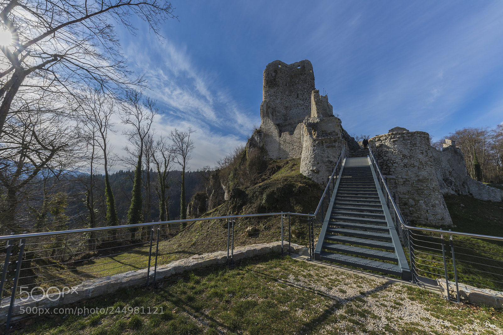 Nikon D800 sample photo. Ruine ost photography