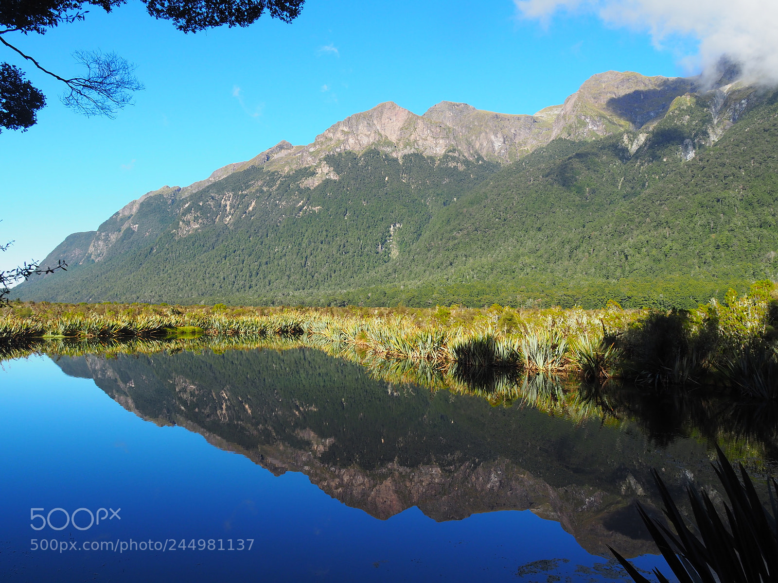 Olympus OM-D E-M10 II sample photo. Mirror lake, new zealand photography