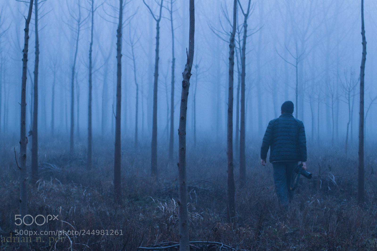 Canon EOS 77D (EOS 9000D / EOS 770D) sample photo. Me in  forest photography