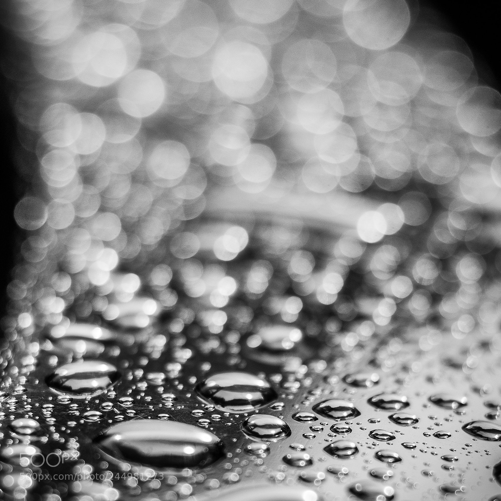 Nikon D7200 sample photo. Drop photography