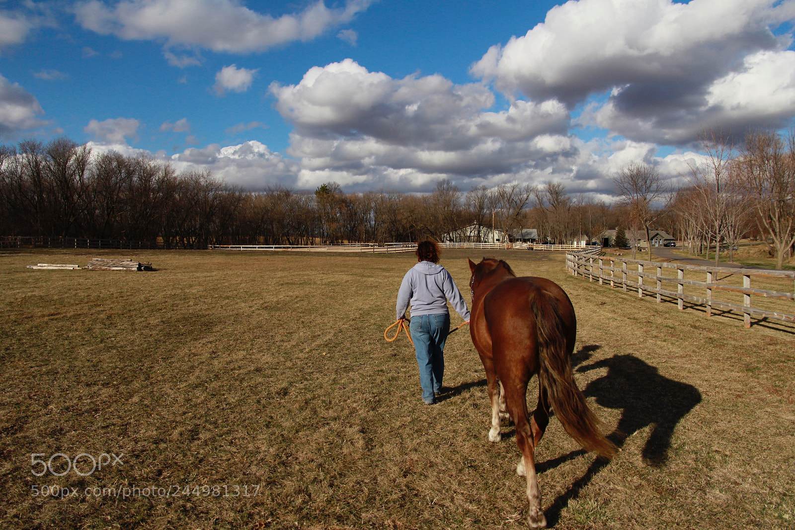 Canon EOS 60D sample photo. Whisper photography