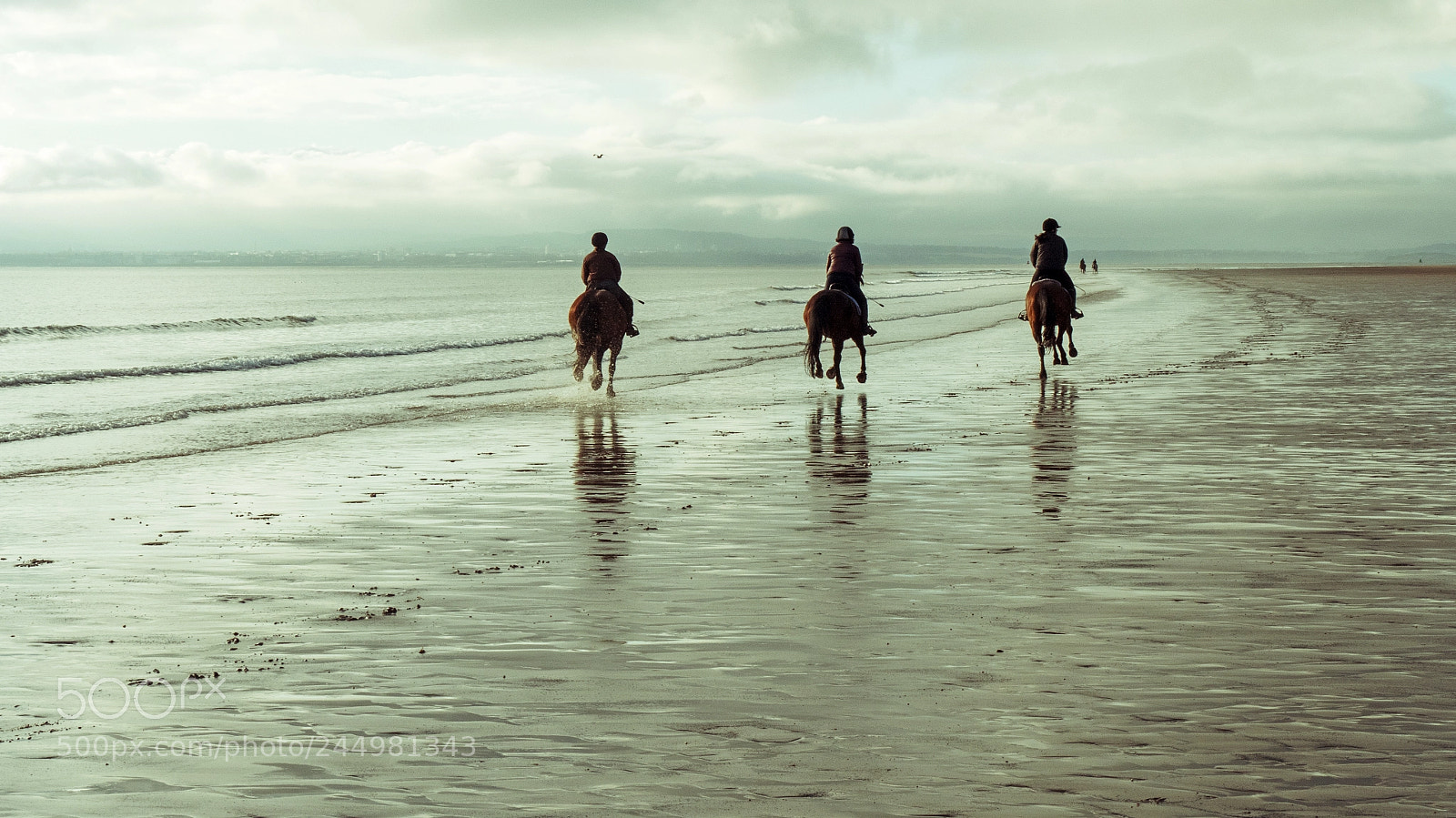 Panasonic Lumix DMC-GX8 sample photo. Horseback photography