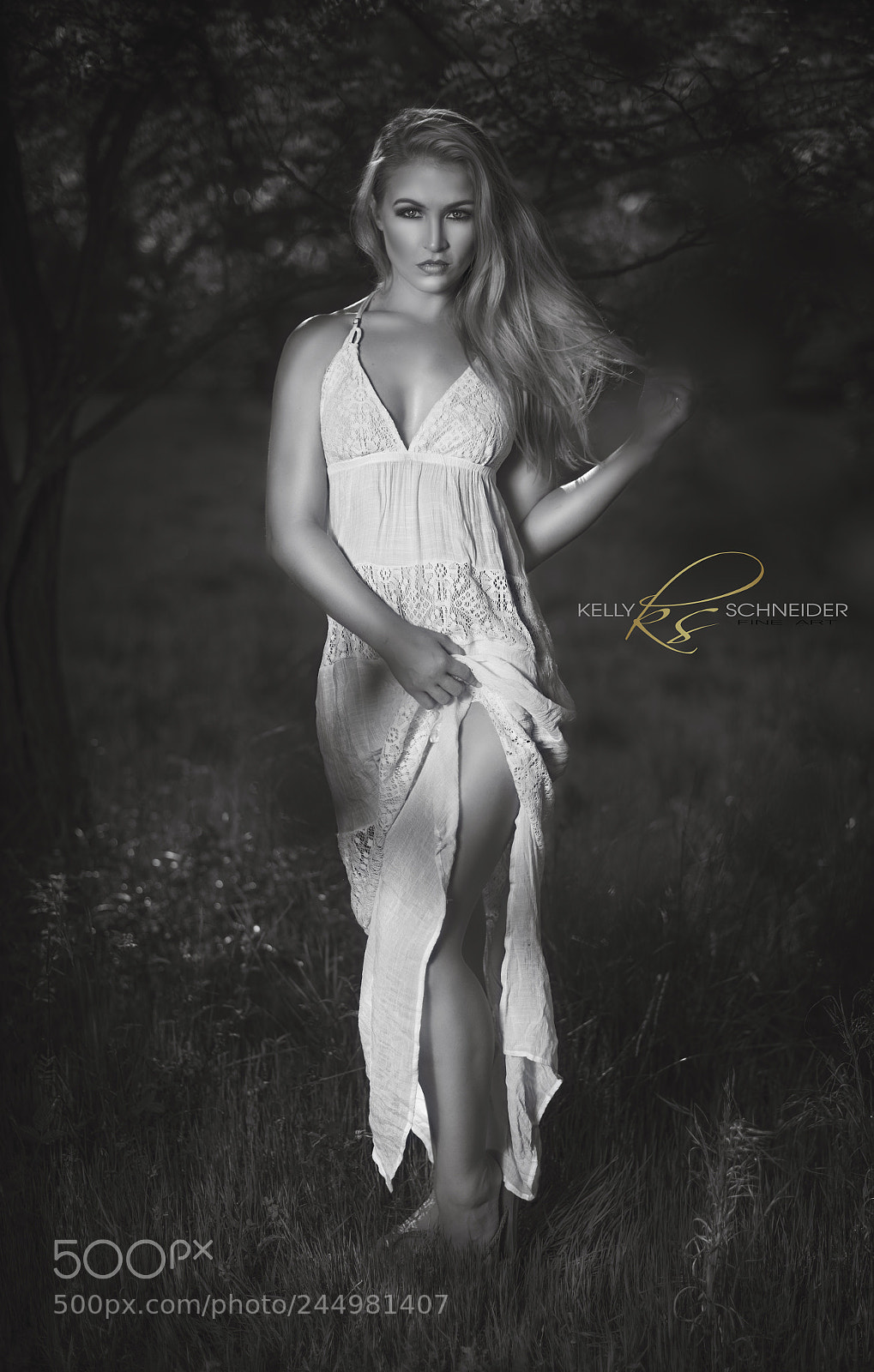 Nikon D5 sample photo. Ryan photography