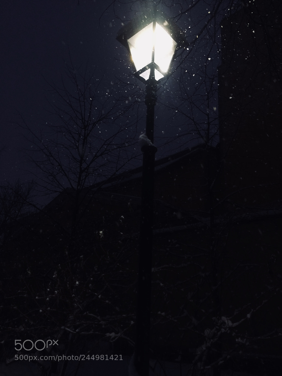 Apple iPhone 5s sample photo. Magic snow photography