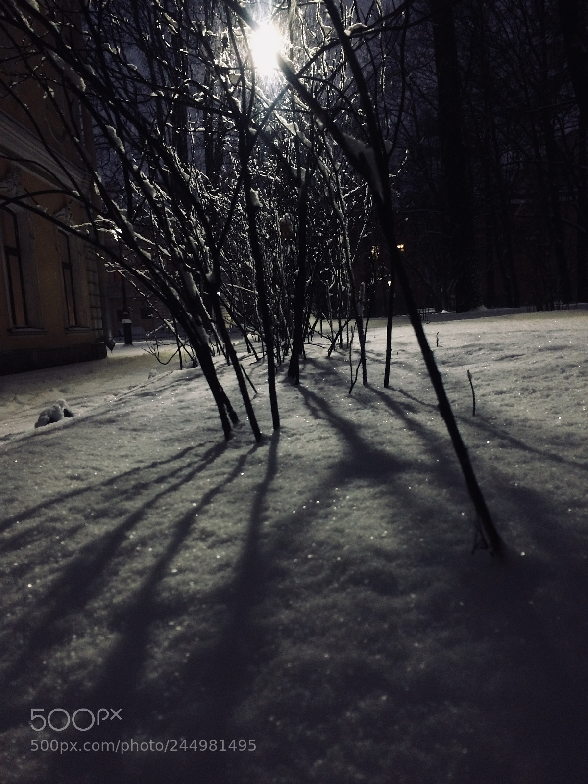 Apple iPhone 5s sample photo. Snow-snow-snow photography