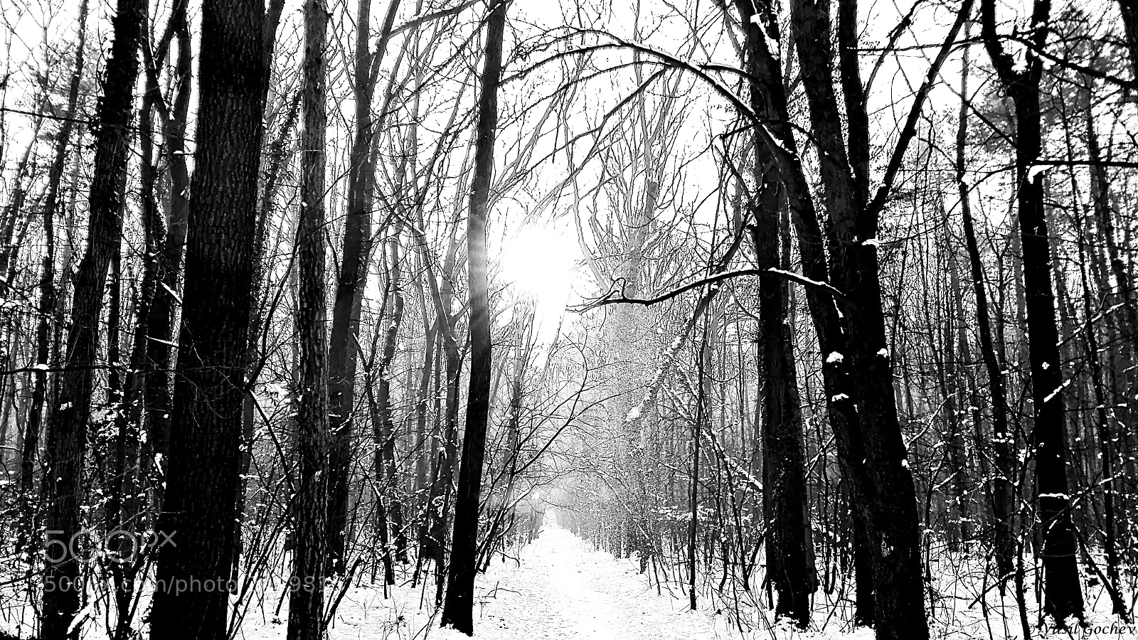 HUAWEI Y6II sample photo. Black&white hdr photography