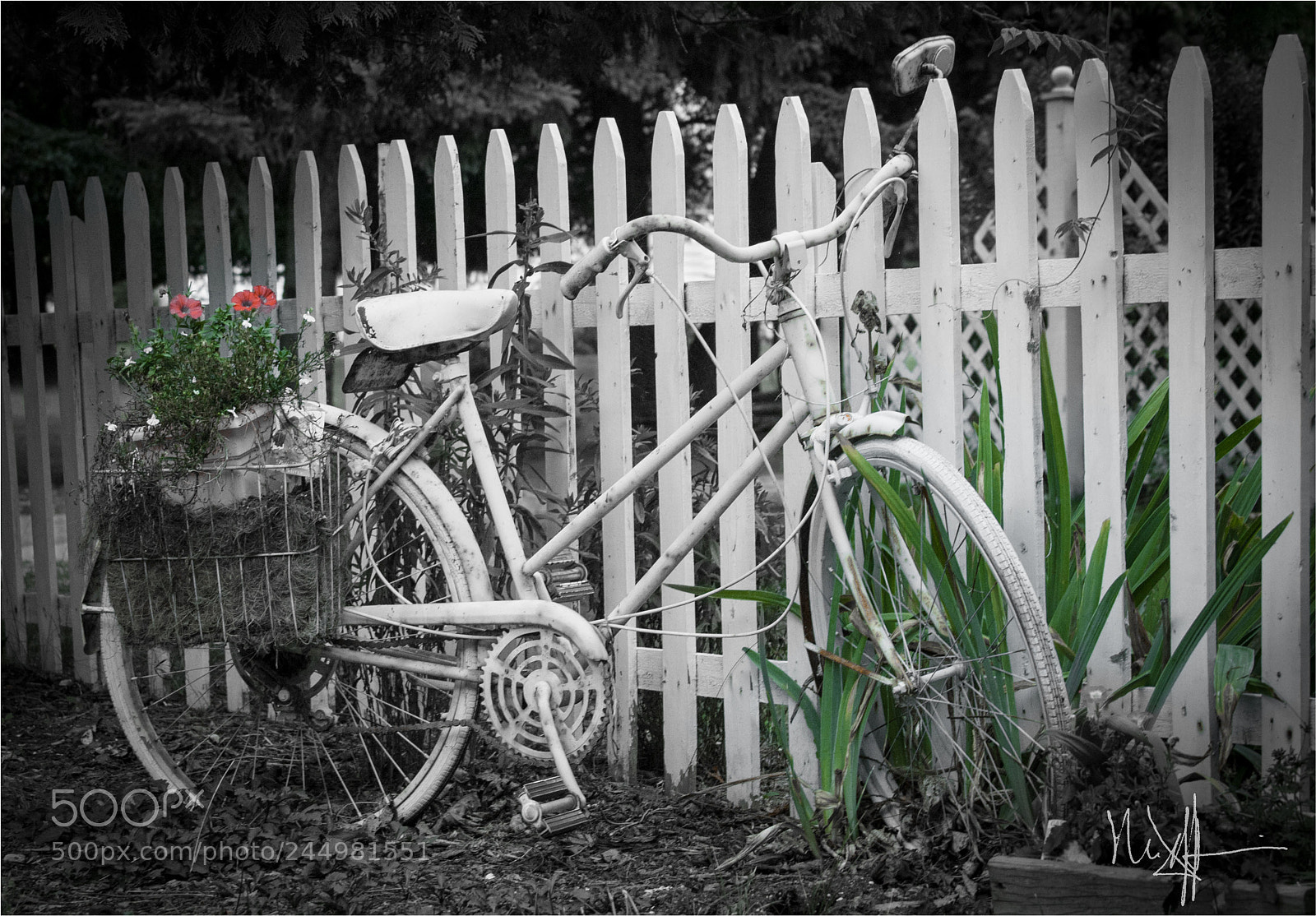 Canon EOS 40D sample photo. Simpler times photography