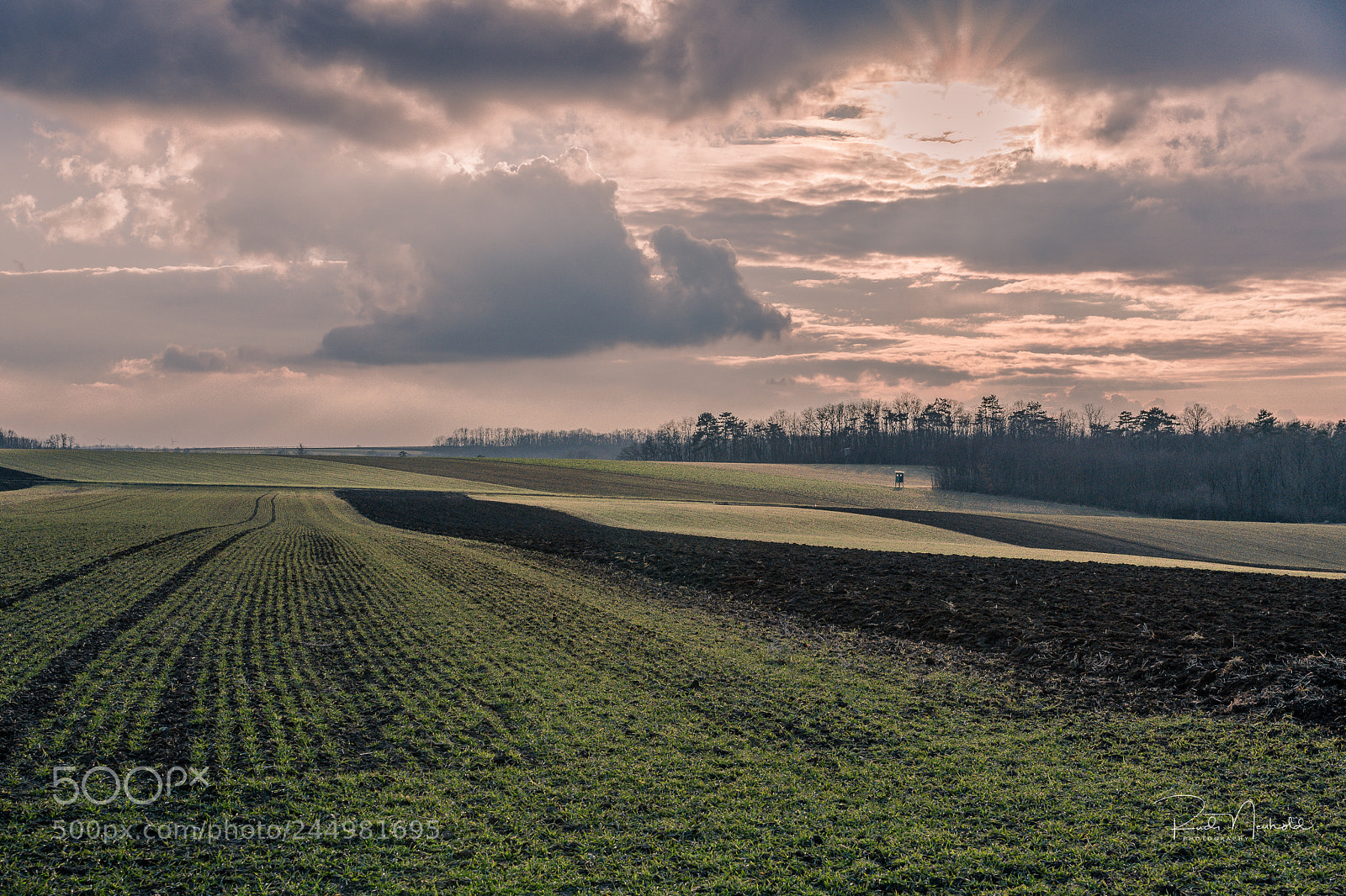 Nikon D850 sample photo. Weinviertelimpressionen photography