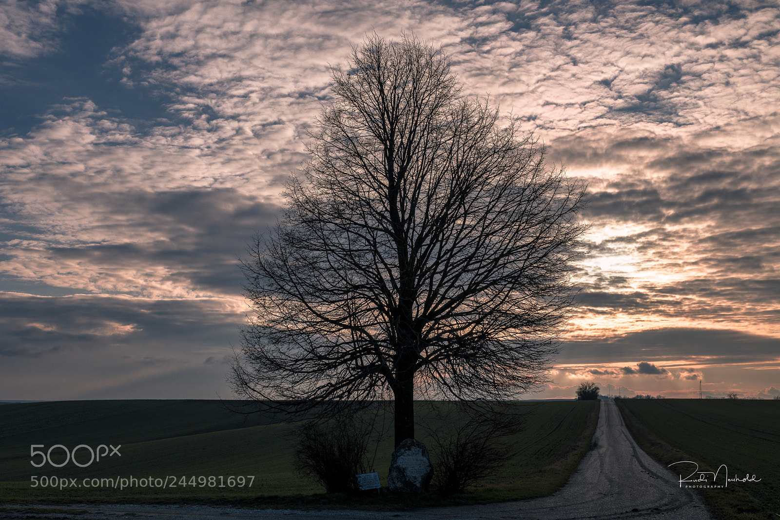 Nikon D850 sample photo. Weinviertelimpressionen photography