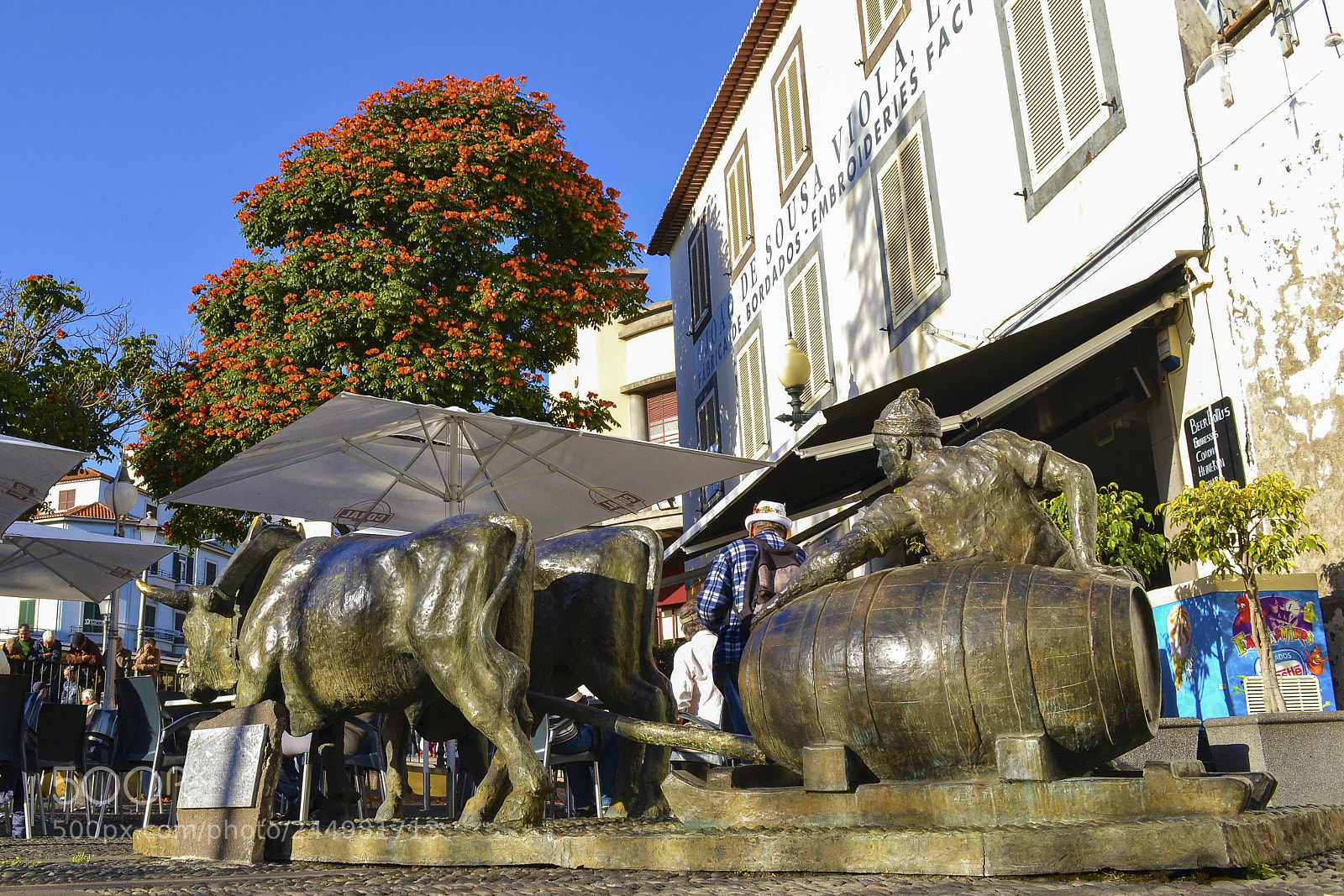 Nikon D3100 sample photo. Funchal, madeira portugal photography