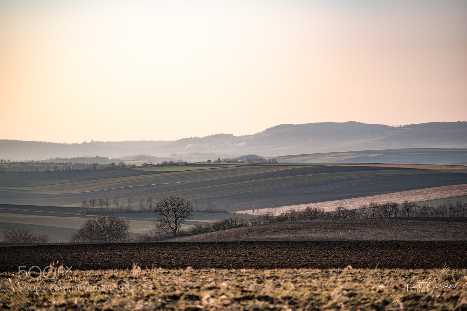 Nikon D850 sample photo. Weinviertelimpressionen photography
