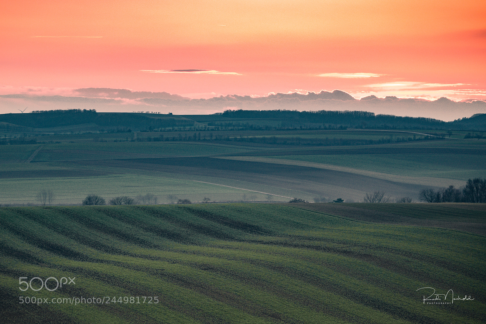 Nikon D850 sample photo. Weinviertelstimmungen photography