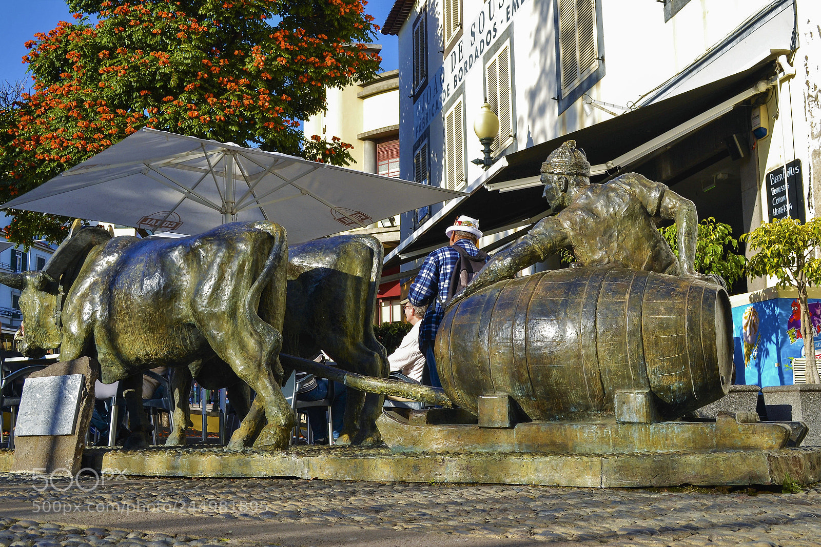 Nikon D3100 sample photo. Funchal, madeira portugal photography