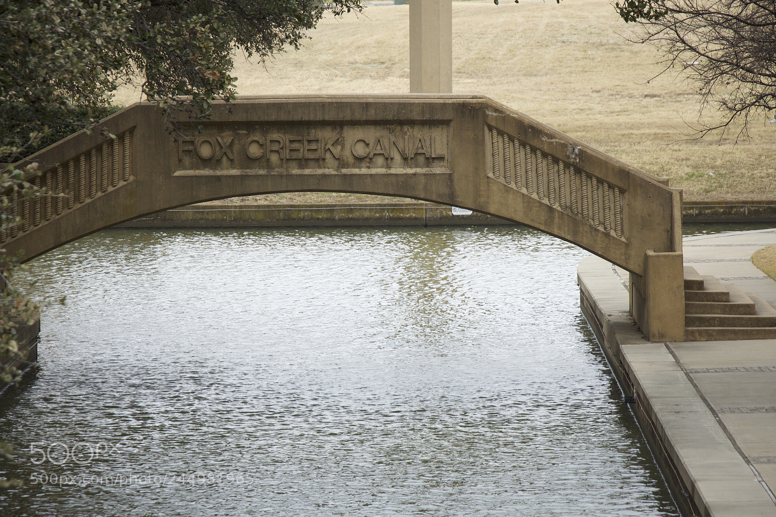 Canon EOS 650D (EOS Rebel T4i / EOS Kiss X6i) sample photo. Live backgrounds photography