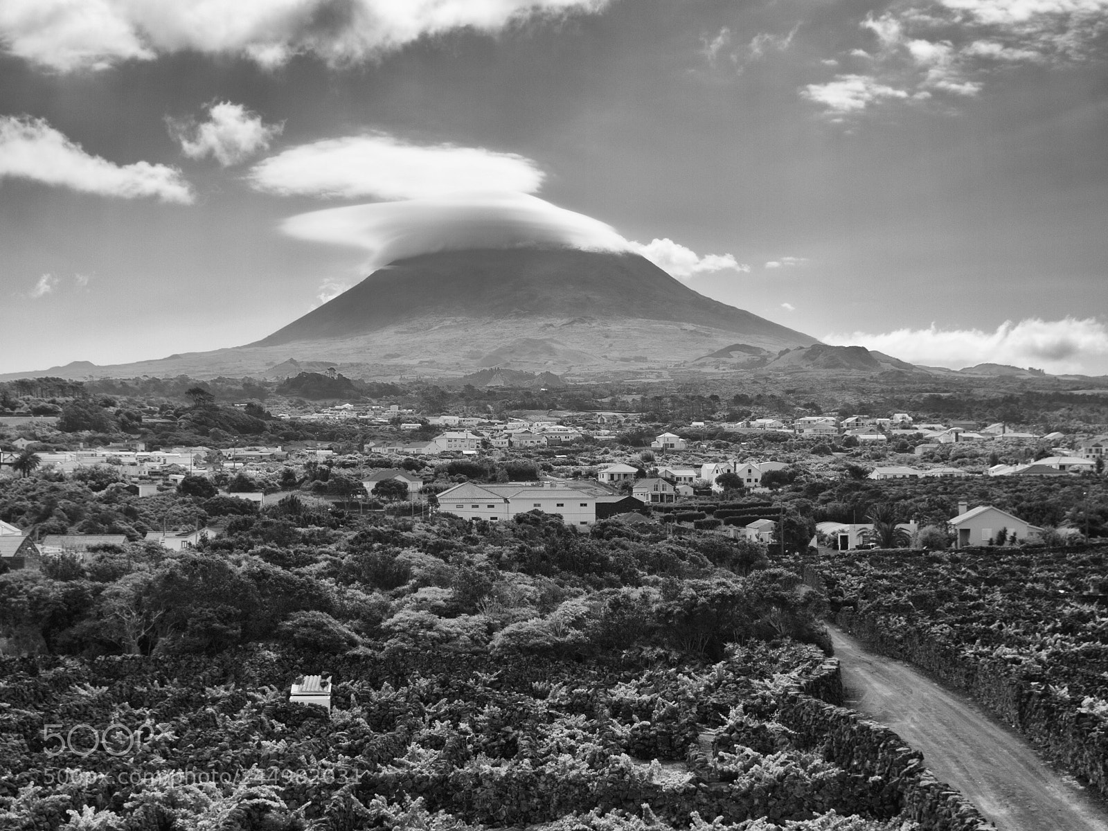 Olympus E-520 (EVOLT E-520) sample photo. A path to pico photography