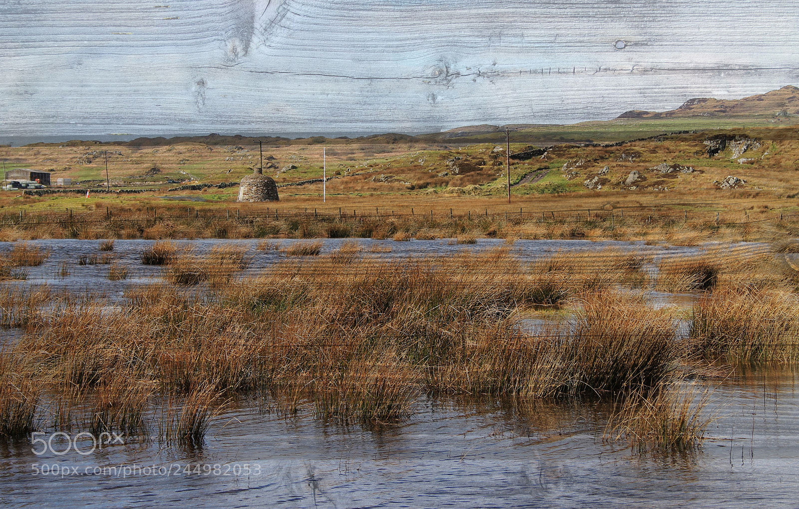 Canon EOS 1100D (EOS Rebel T3 / EOS Kiss X50) sample photo. The swamps of islay photography