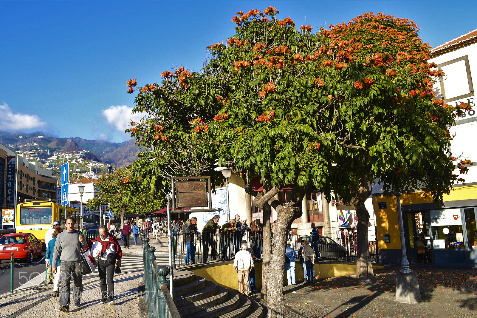Nikon D3100 sample photo. Funchal, madeira portugal photography