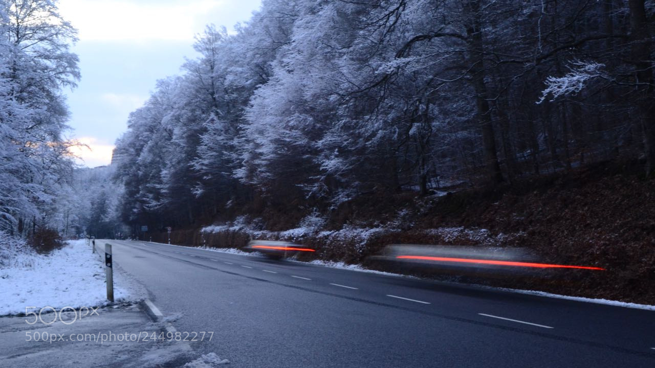Nikon D3100 sample photo. Auto-motion photography