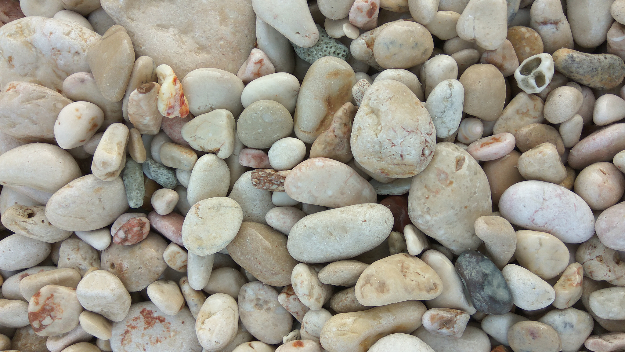 Xiaomi Redmi Note 3 sample photo. Sea stones photography