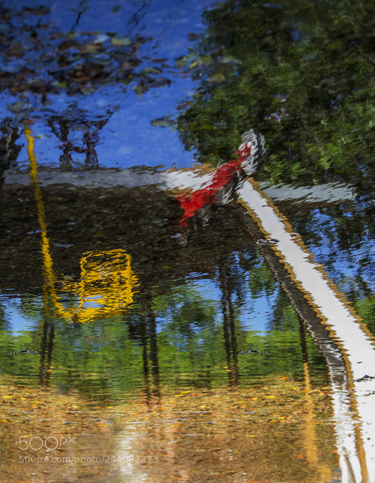 Nikon D3100 sample photo. Cable car reflection photography