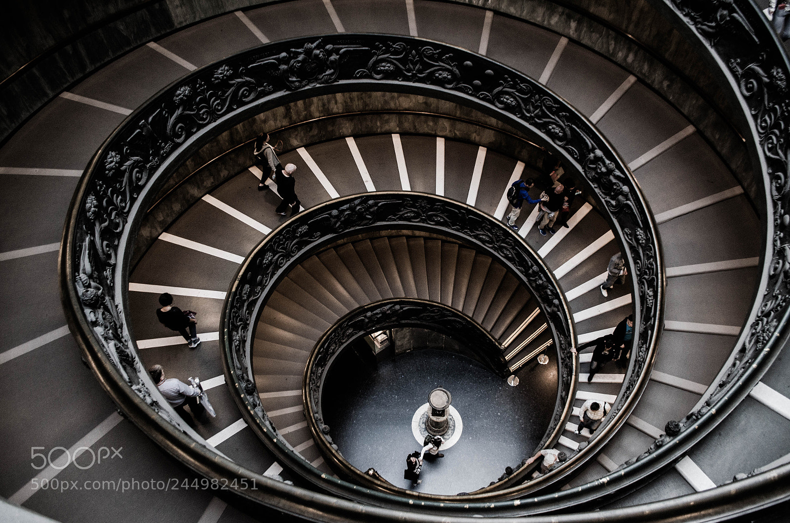 Nikon D5100 sample photo. The vatican staircase photography