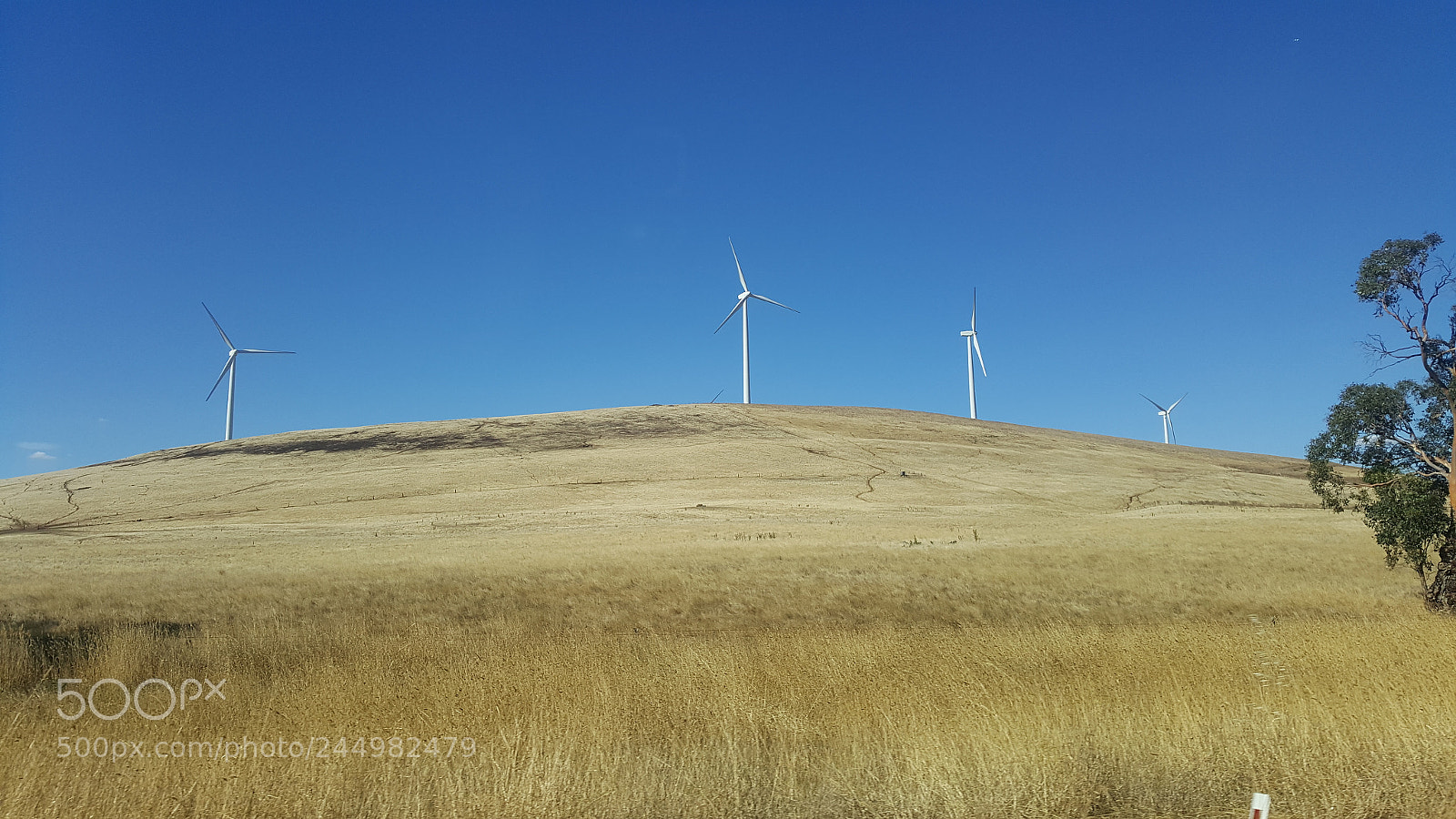 Samsung GALAXY S6 edge sample photo. Sustainable power photography