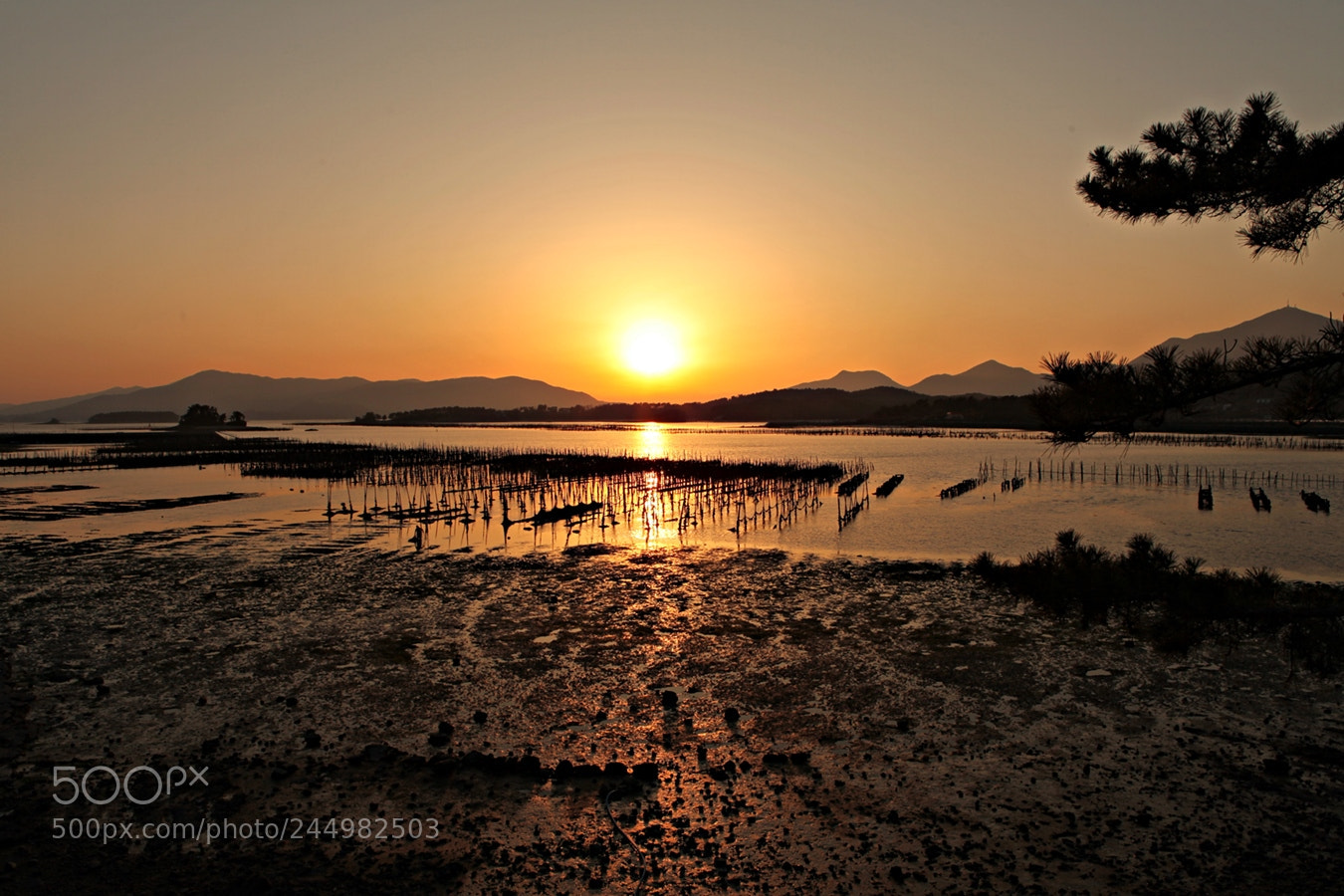 Canon EF 24-70mm F2.8L USM sample photo. Sunset photography
