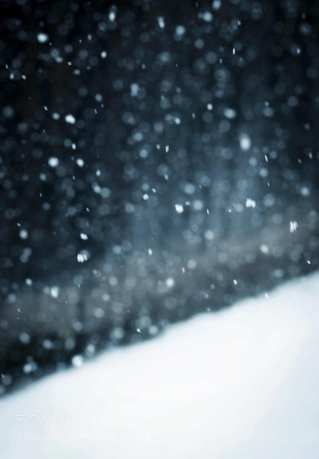 Nikon D5500 sample photo. Dark background  blurred snow photography
