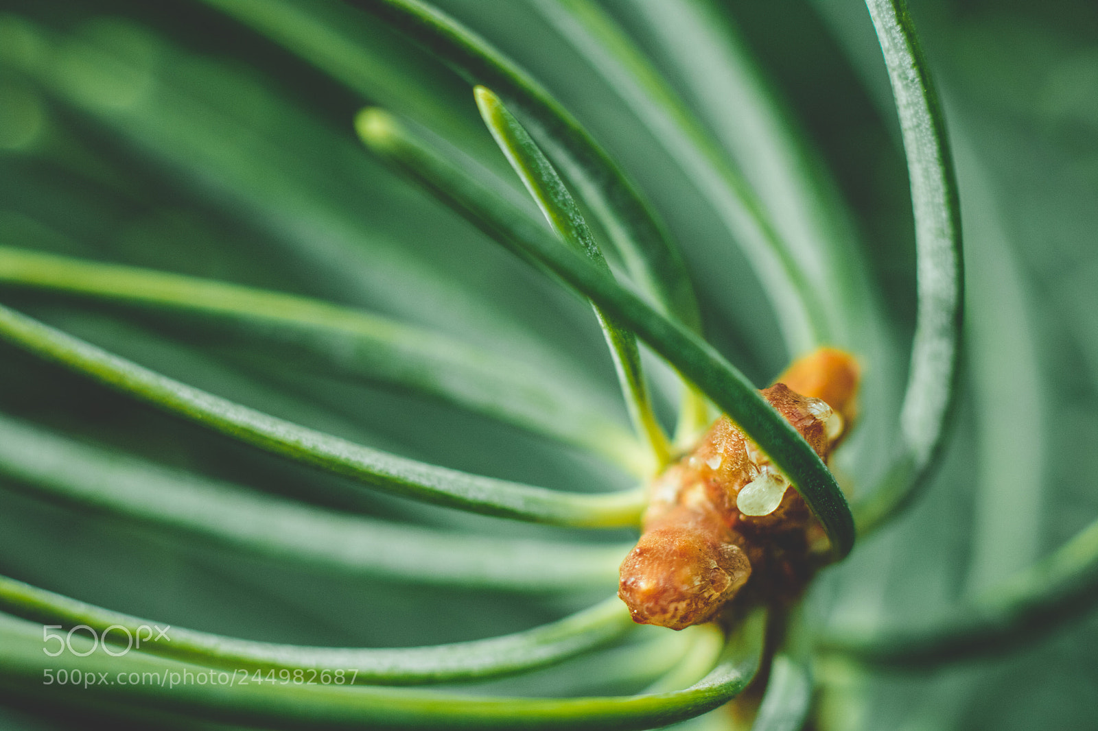 Canon EOS 760D (EOS Rebel T6s / EOS 8000D) sample photo. Abstract direction photography
