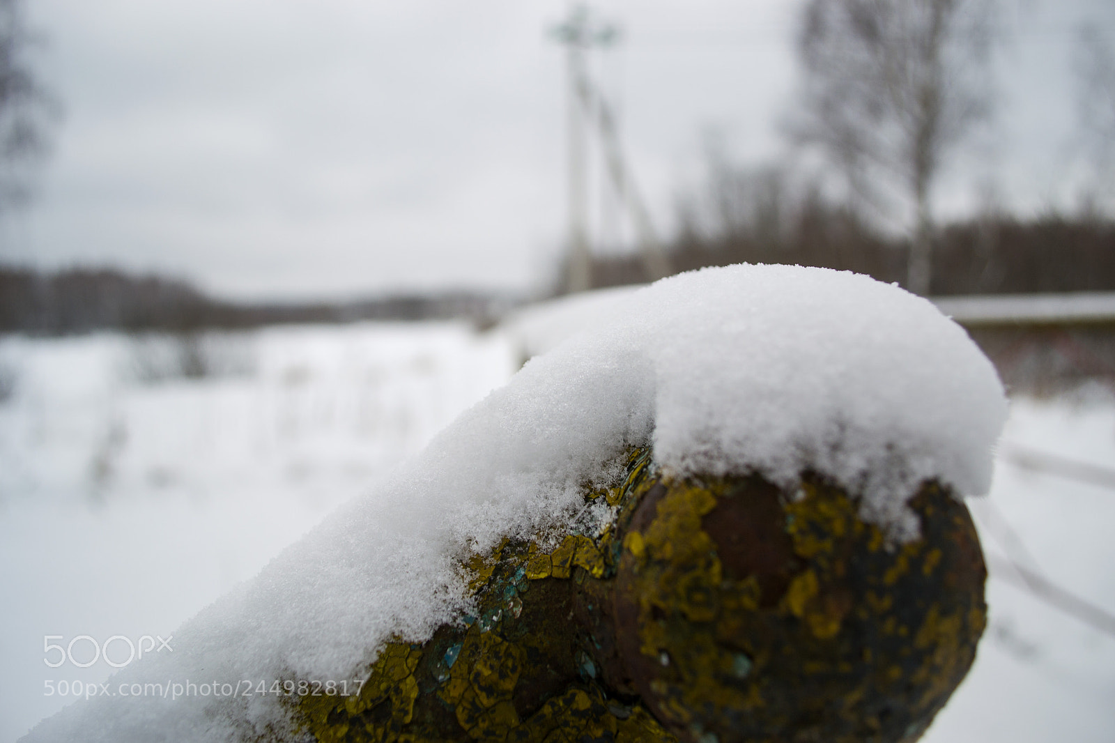 Nikon D3100 sample photo. Untitled photography