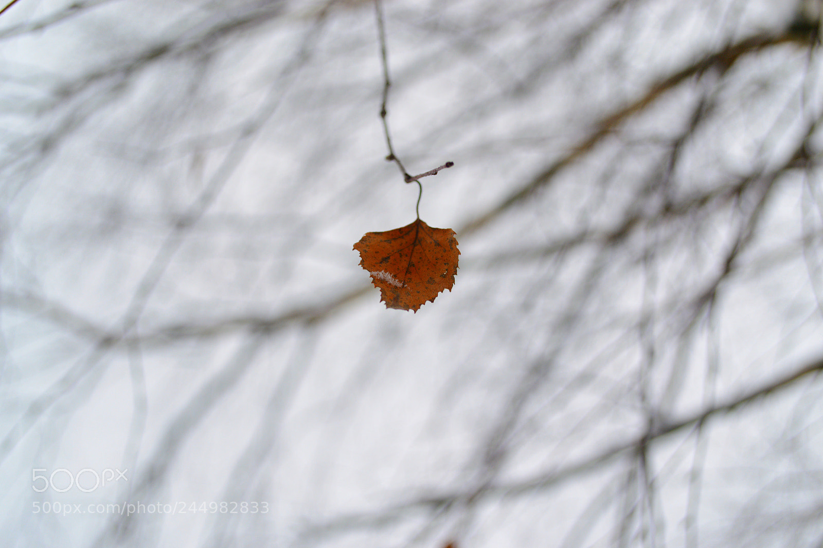 Nikon D3100 sample photo. Untitled photography