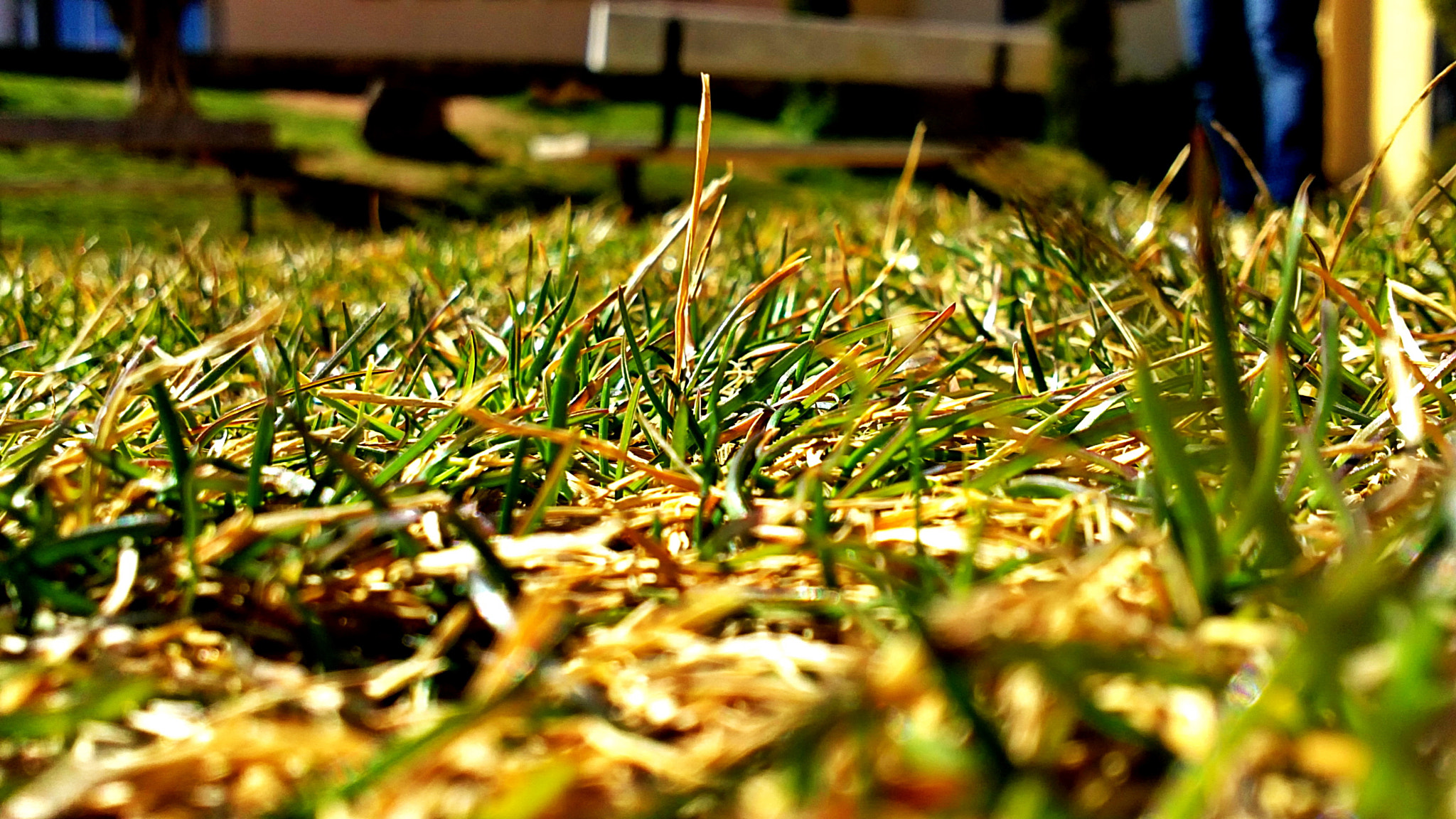 Sony Ericsson U5i sample photo. Uni photography