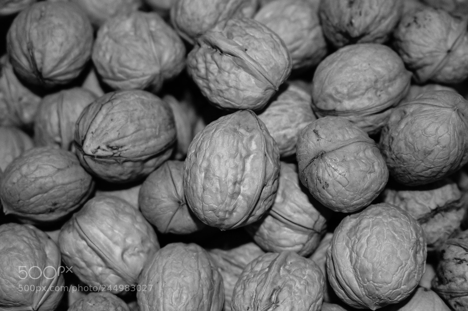Canon EOS 100D (EOS Rebel SL1 / EOS Kiss X7) sample photo. Walnuts photography