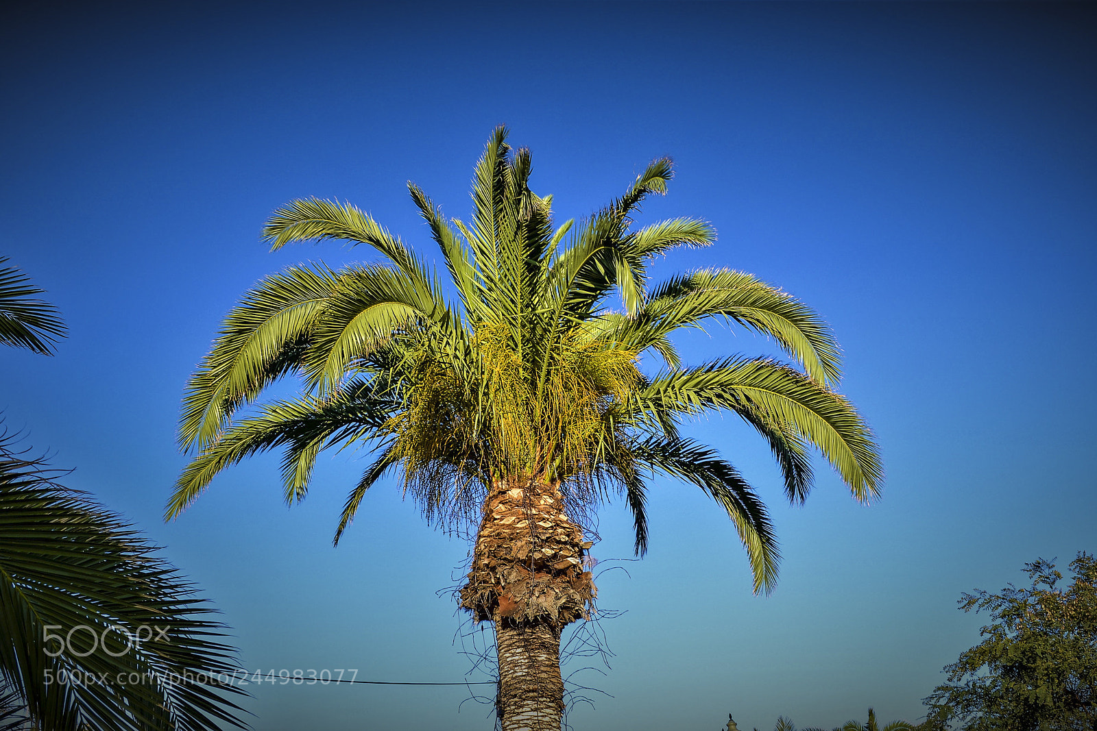 Nikon D3100 sample photo. Funchal, madeira portugal photography