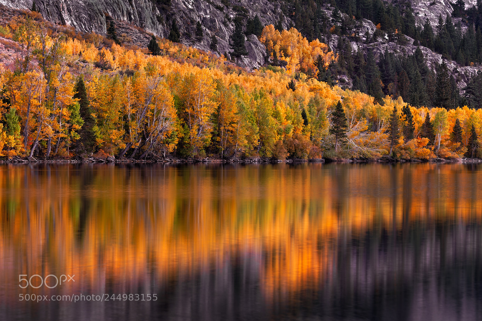 Sony a99 II sample photo. June lake photography