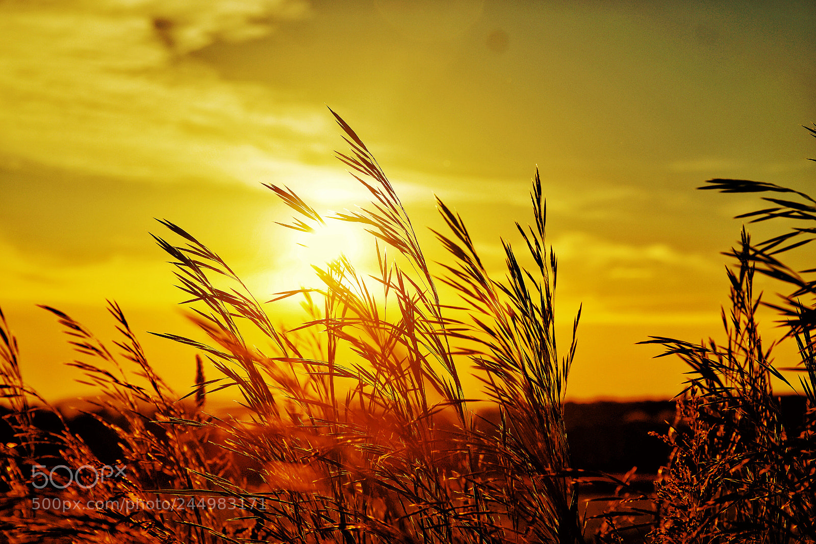 Samsung NX1 sample photo. Mientras cae el sol photography