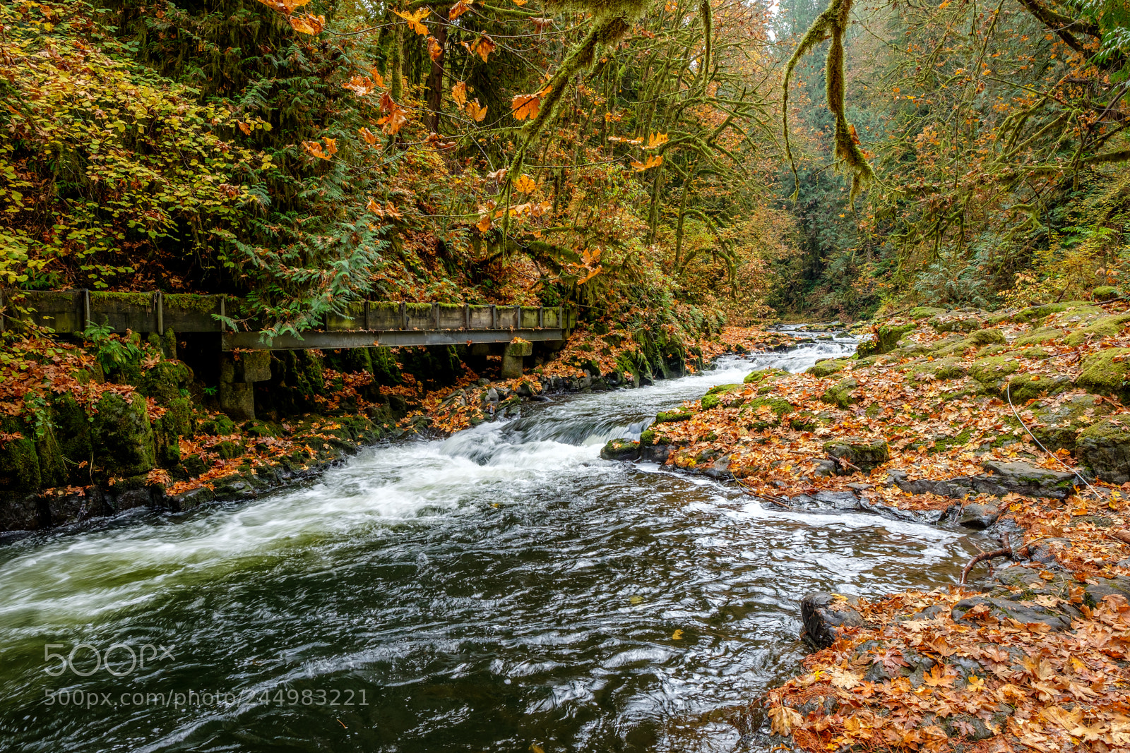 Fujifilm X-T2 sample photo. Mountain stream photography