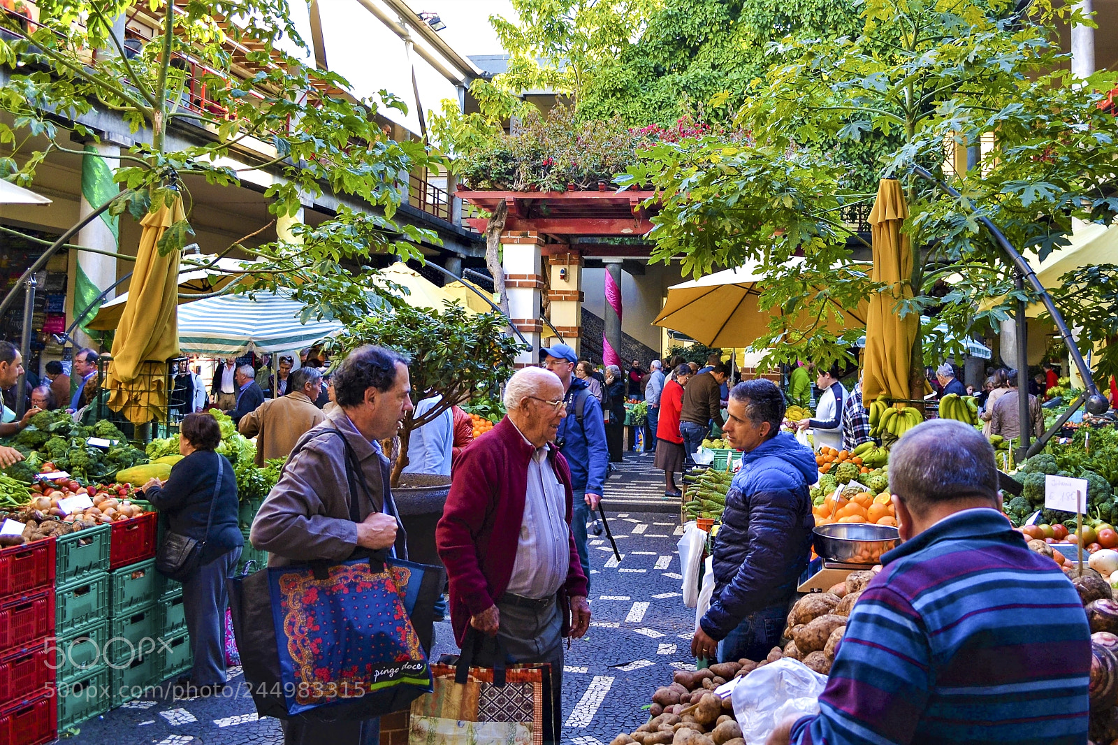 Nikon D3100 sample photo. Funchal, madeira portugal photography