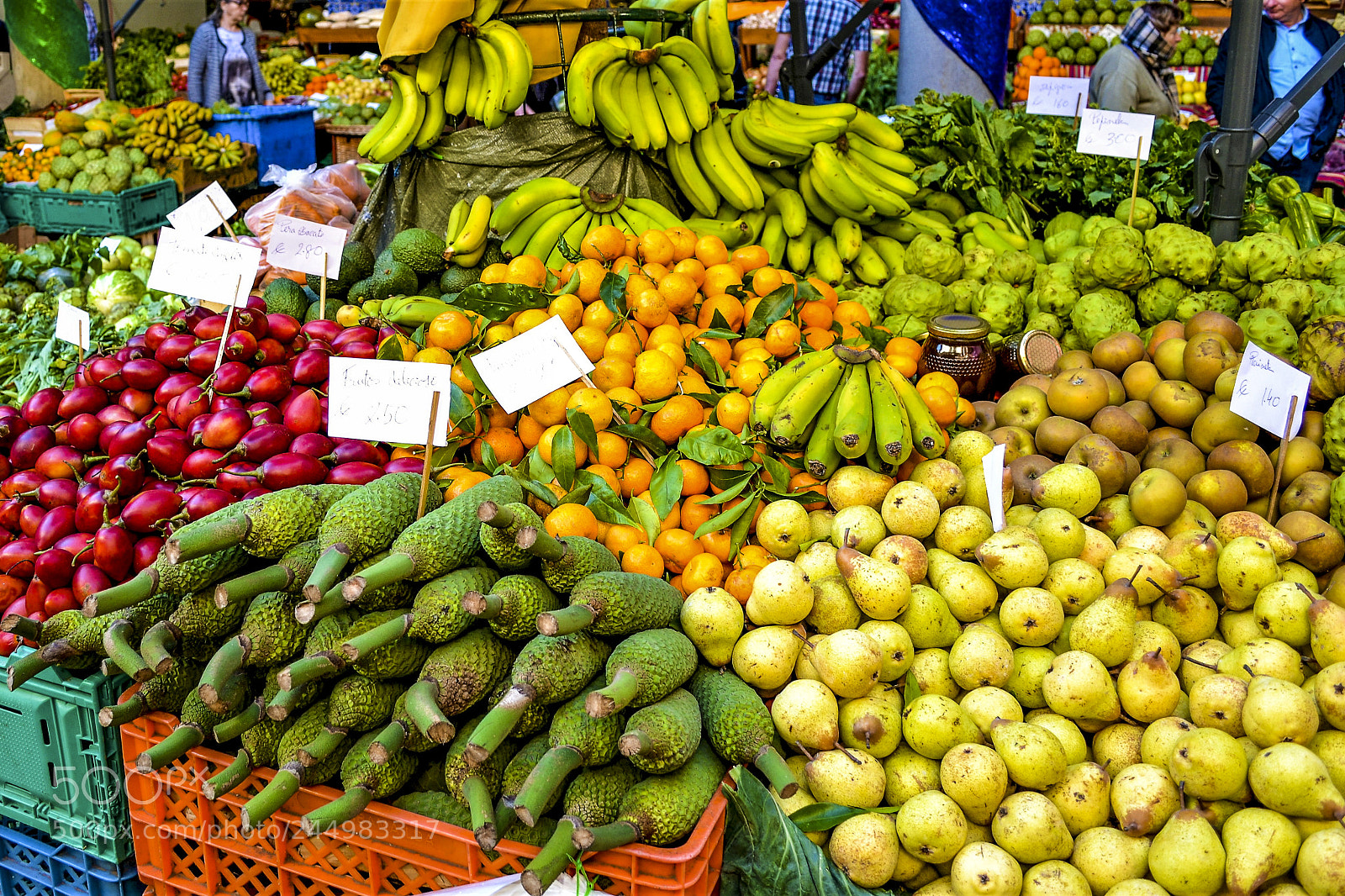 Nikon D3100 sample photo. Funchal, madeira portugal photography
