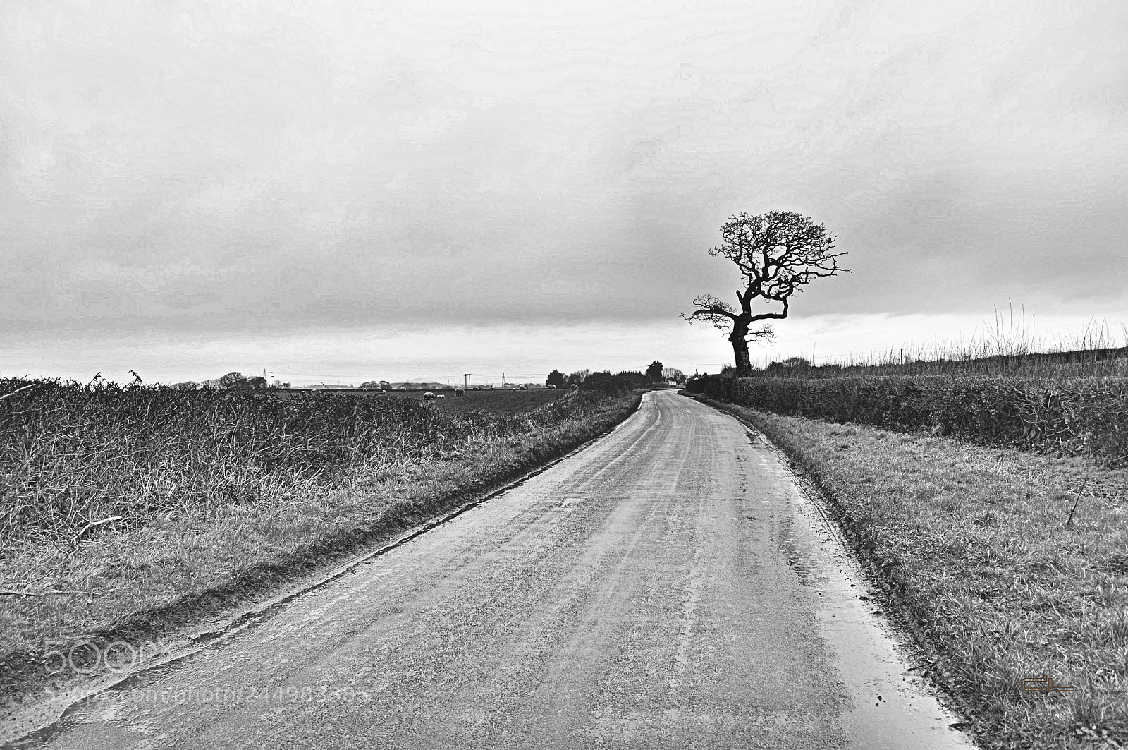 Nikon D5000 sample photo. Road to emptiness photography