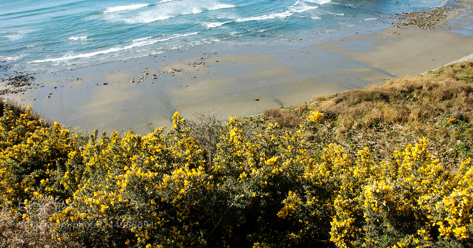 Nikon D50 sample photo. It was spring in photography