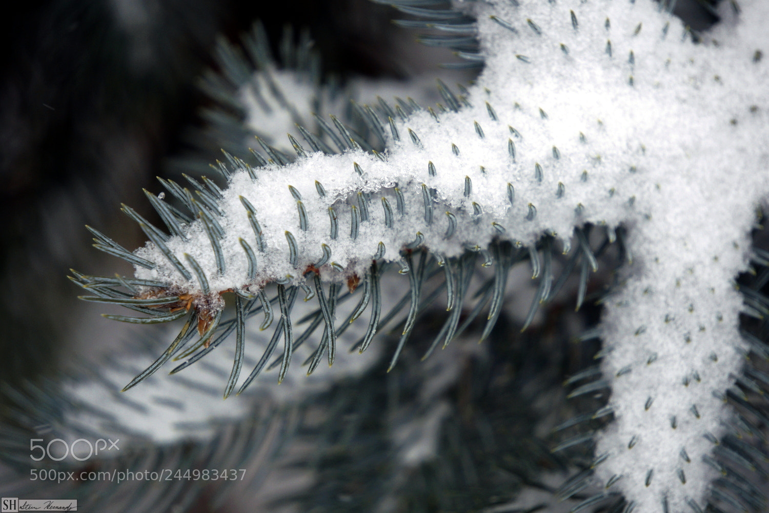 Sony E 55-210mm F4.5-6.3 OSS sample photo. () photography