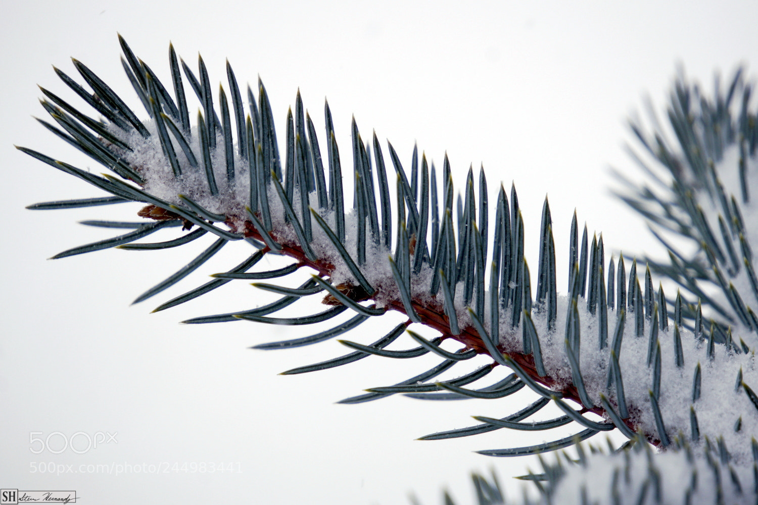 Sony E 55-210mm F4.5-6.3 OSS sample photo. () photography
