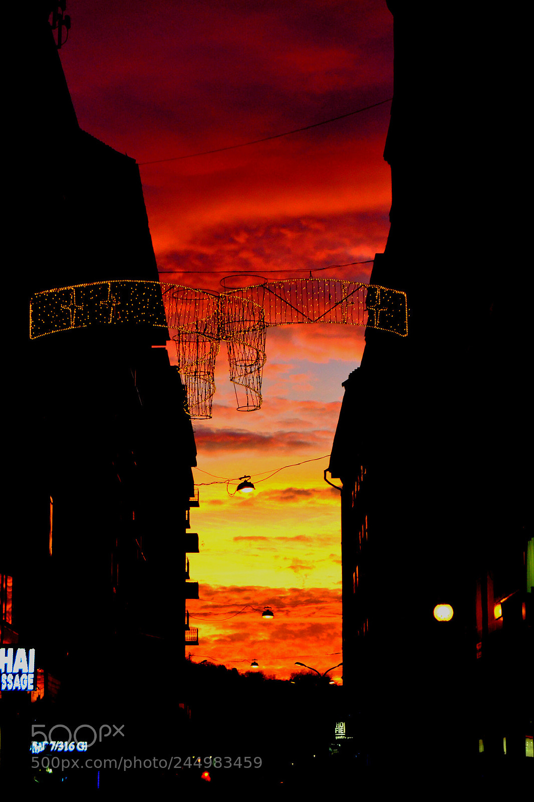 Nikon D3100 sample photo. Untitled photography