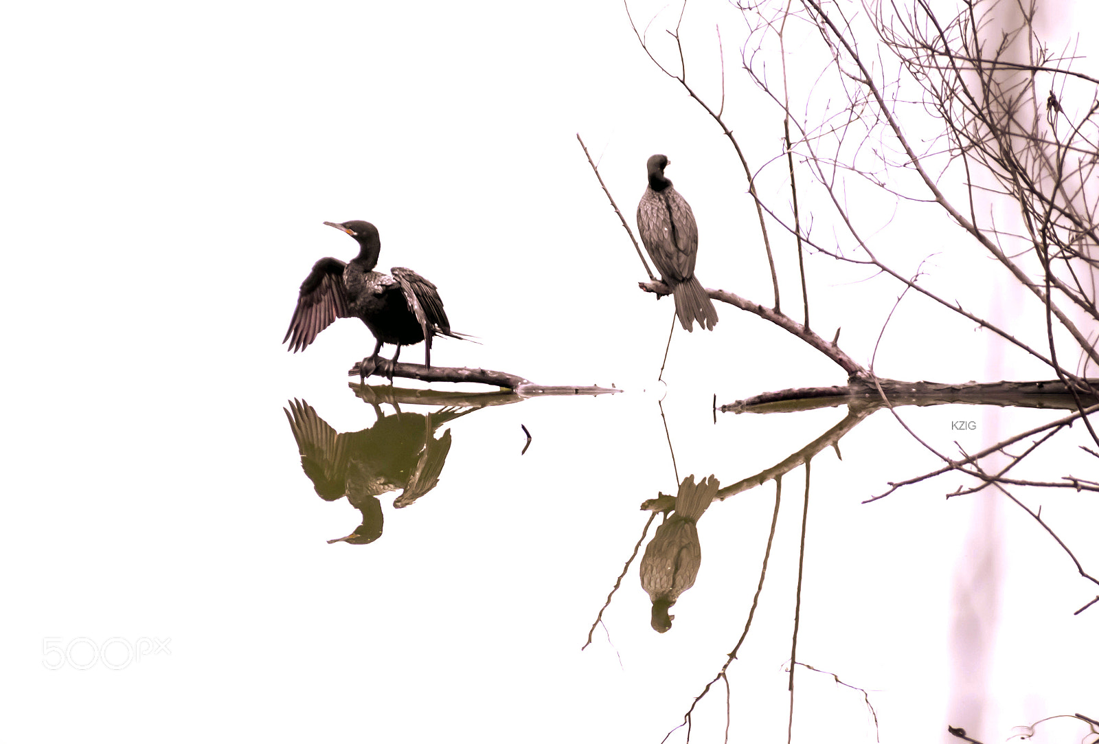 Nikon D3400 sample photo. Reflections photography