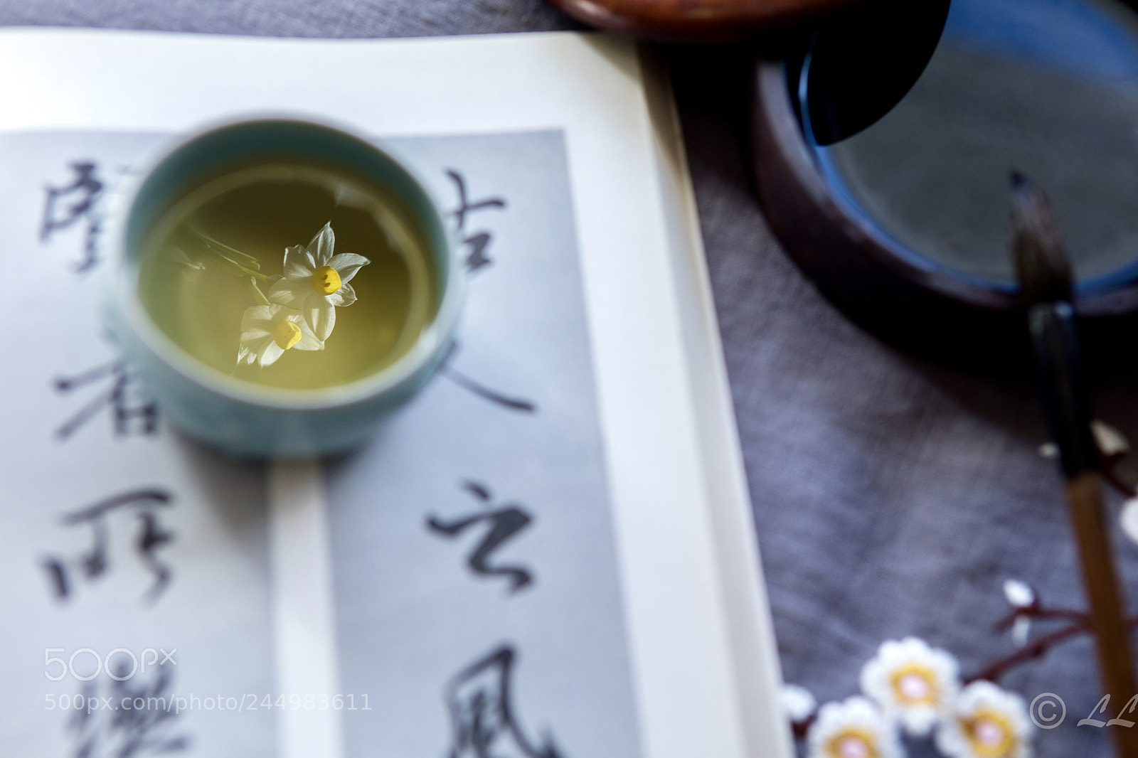 Canon EOS 5DS R sample photo. Untitled photography