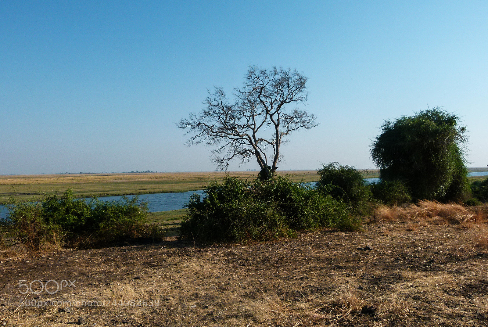Panasonic Lumix DMC-FZ100 sample photo. Chobe river landscape photography