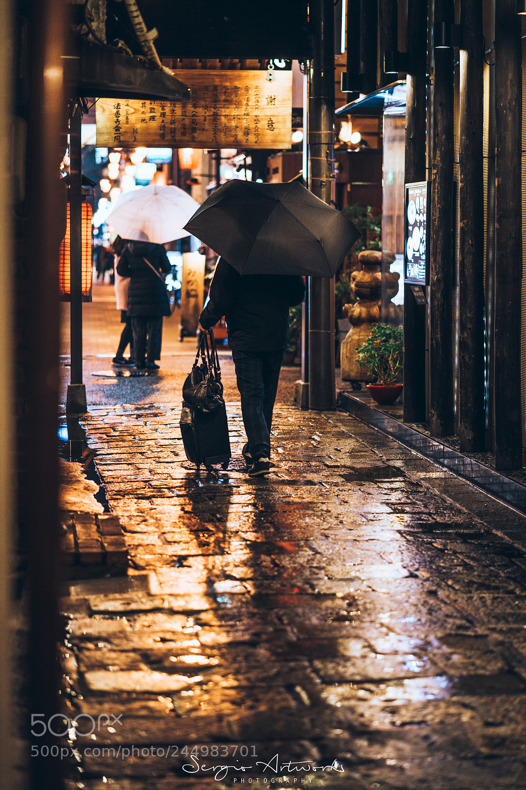 Sony a7 II sample photo. Hozennji, osaka photography