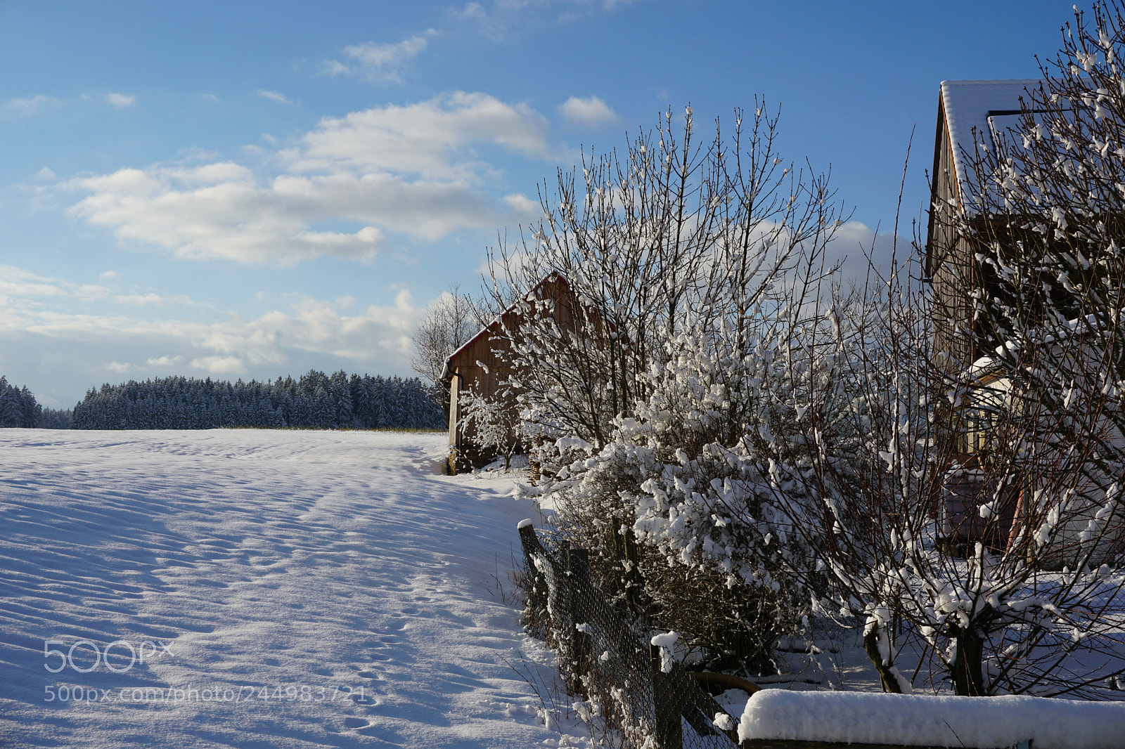 Sony a6000 + Sony E 18-50mm F4-5.6 sample photo. Winterlandschaft photography